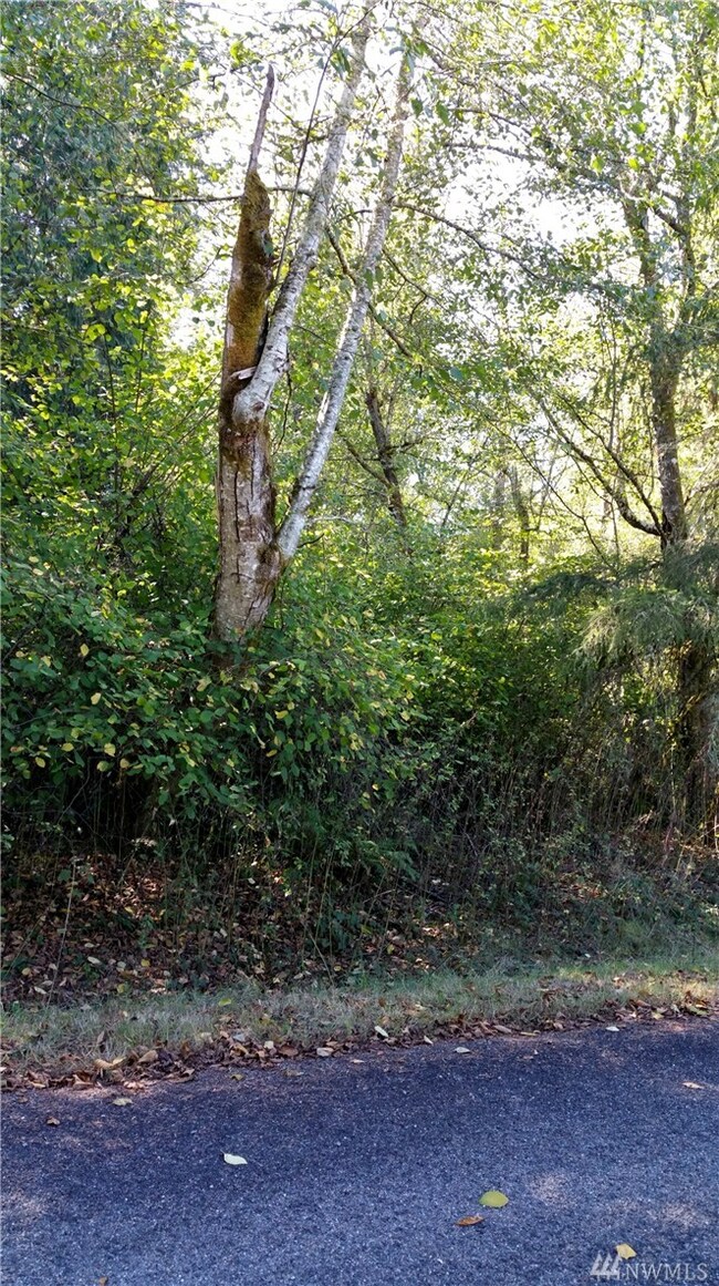 10708 Seaview Dr unit AI, Anderson Island, WA 98303 - photo 2