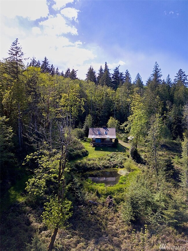 1022 Carl Johnson Rd, Quilcene, WA 98376 - photo 4
