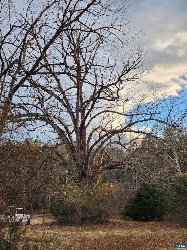 TBD Jefferson Mill Rd unit 1100, Scottsville, VA 24590 - photo 4