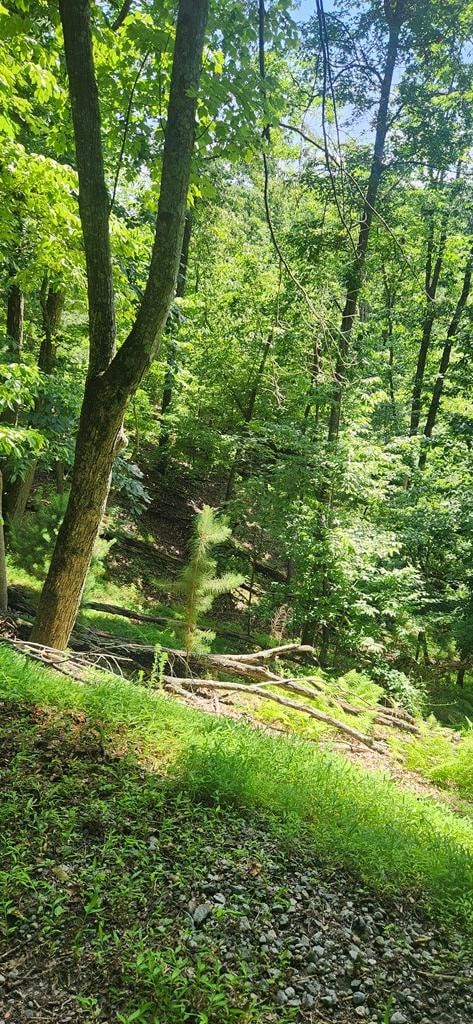 0 Mohawk Trail unit 406863, Ellijay, GA 30540 - photo 3