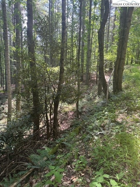 Lot 17 Sunny Ln, Crumpler, NC 28617 - photo 2
