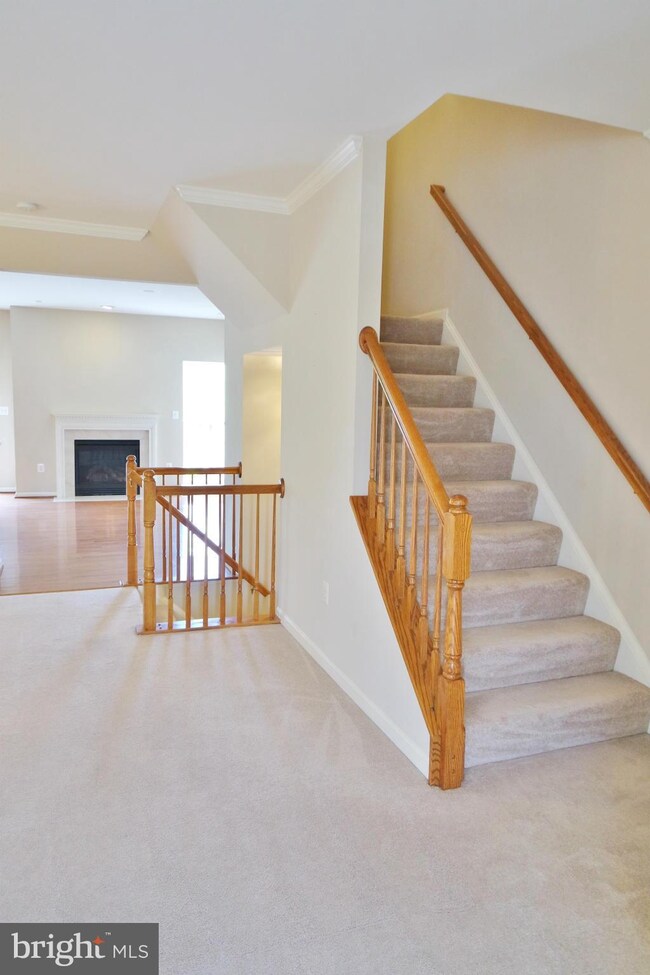 139 Oxbow Dr, Strasburg, VA 22657 - photo 3