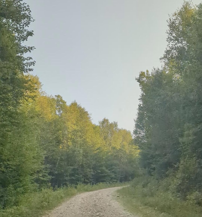 174 Saunders Rd, Woodstock, ME 04219 - photo 3