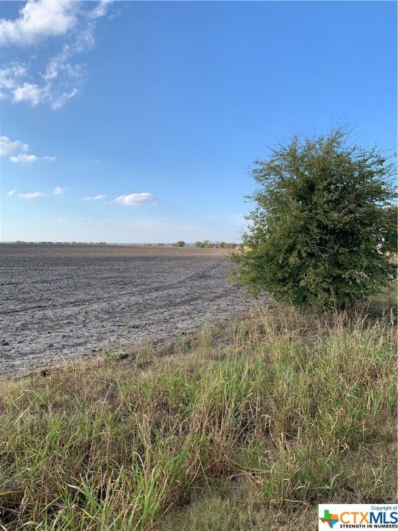 tbd Theo Loop, Troy, TX 76579 - photo 2