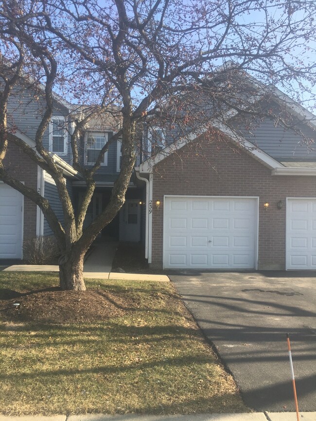 239 Partridge Ct, Algonquin, IL 60102 - photo 2