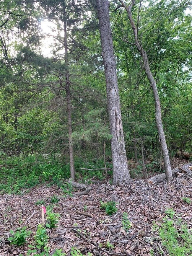 0 Jaybird Rd unit 1184110, Maysville, AR 72747 - photo 3