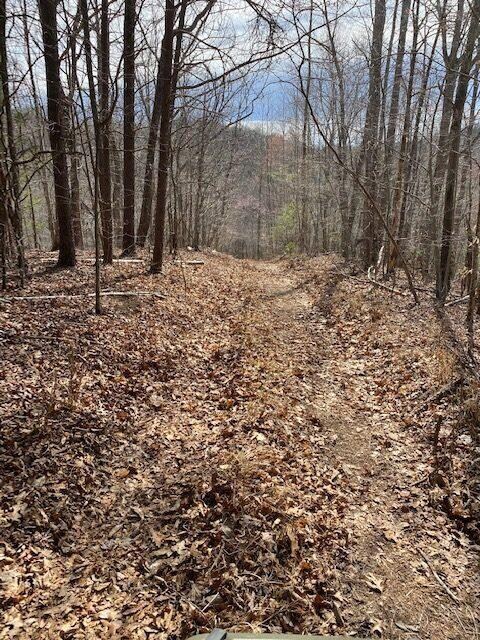 Trail