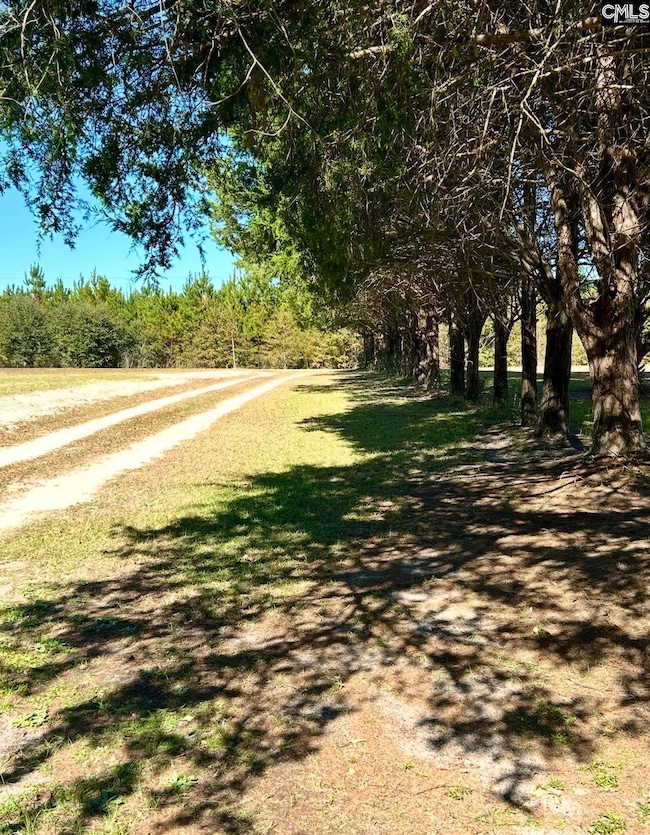 752 Waterspring Rd, Orangeburg, SC 29118 - photo 5