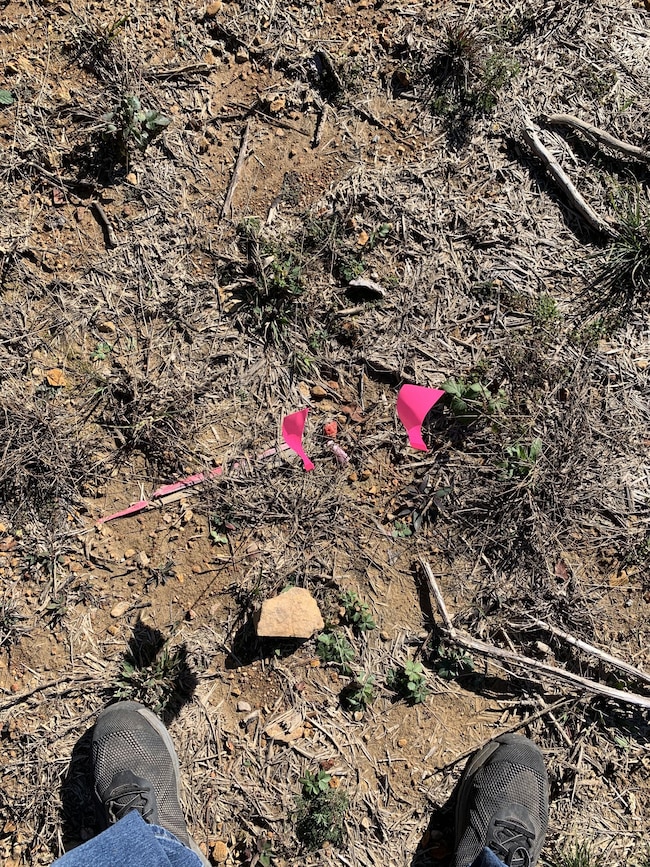 230 Fernwood Dr, Hohenwald, TN 38462 - photo 7