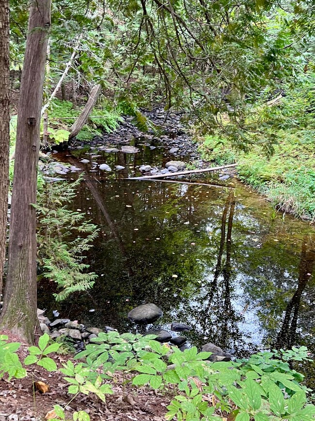 Bither Brook