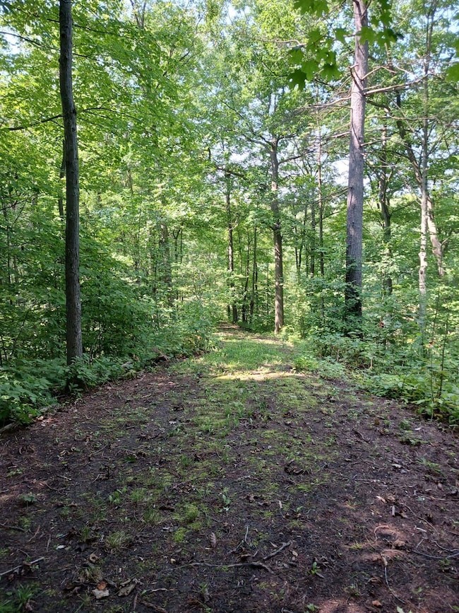 644 Panton Rd, Vergennes, VT 05491 - photo 4