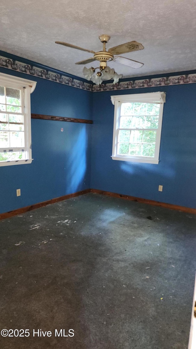 177 Dudney Ln, Chadbourn, NC 28431 - photo 7