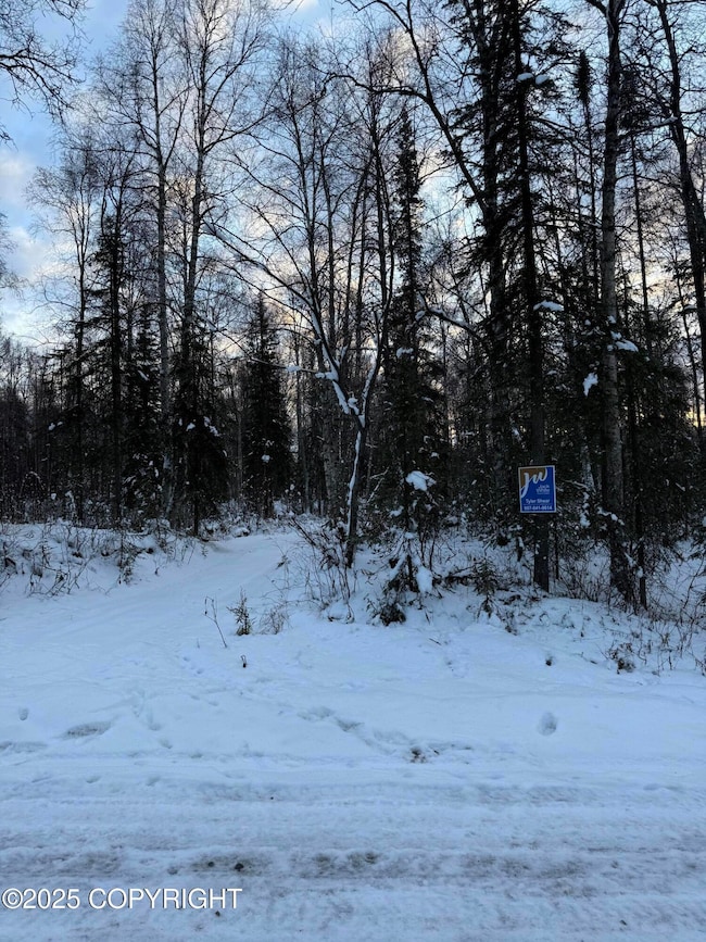 16486 E Barge Dr, Talkeetna, AK 99676 - photo 3
