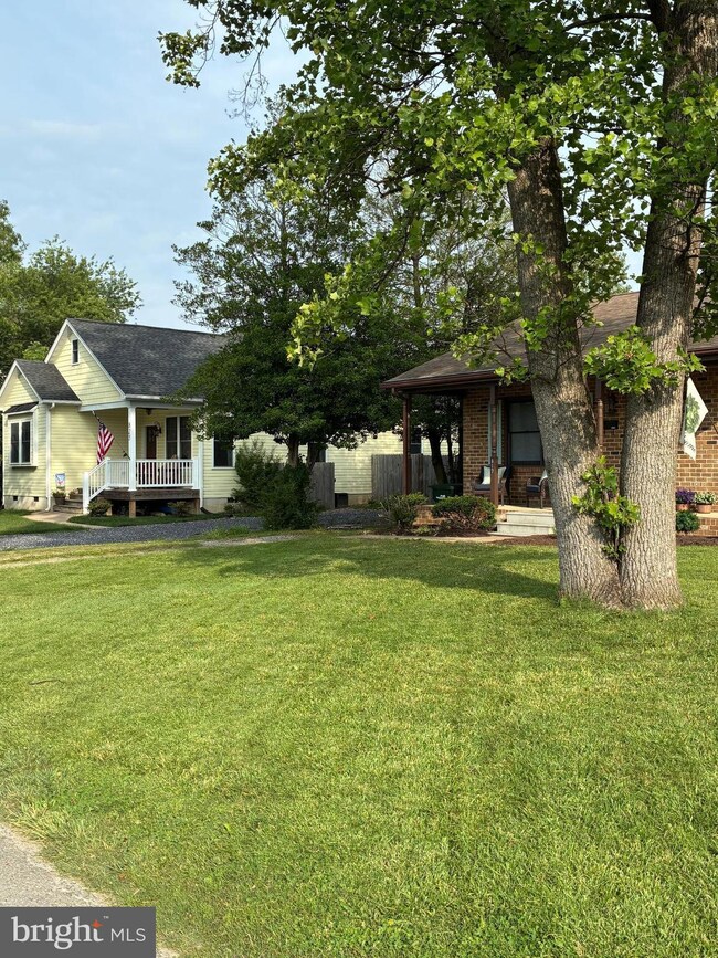 817 Maple Ave, Waynesboro, VA 22980 - photo 7