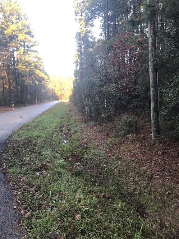 TBD Dan Cir, Magnolia, TX 77355 - photo 6