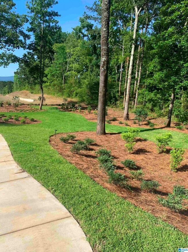 0 Village Cir unit 1-45 1306913, Anniston, AL 36207 - photo 7