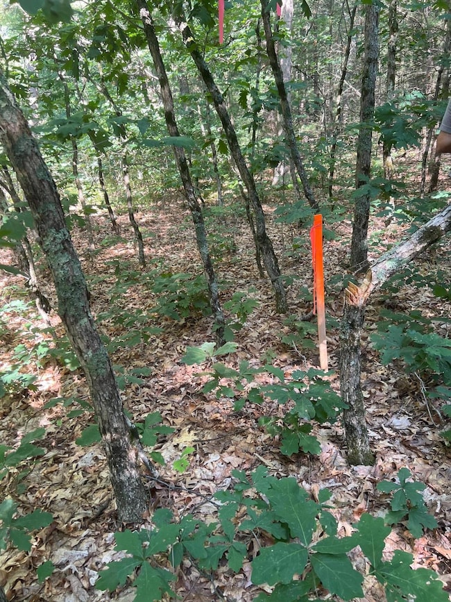 One of the inside corner markers