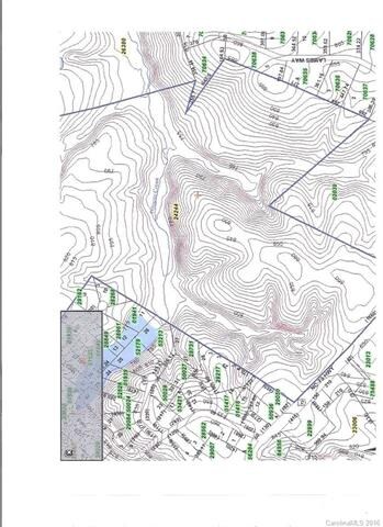 00 Vesuvius Furnace Rd, Ironton Township, NC 28080 - photo 3