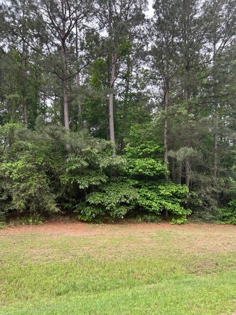 102 Ebner Lake Dr, Montgomery, TX 77316 - photo 7