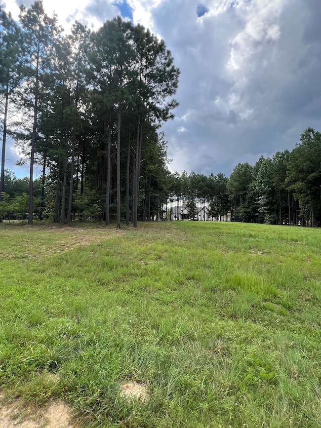Lot 81 Crockett Loop, Jasper, TN 37347 - photo 4