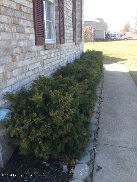 773 Helm Ln, Mount Washington, KY 40047 - photo 4