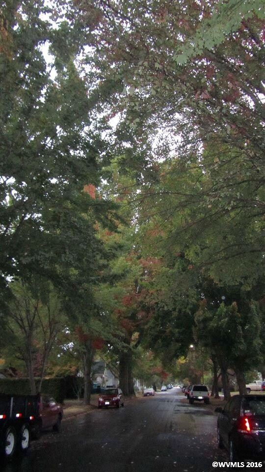View of tree lined stree facing north.