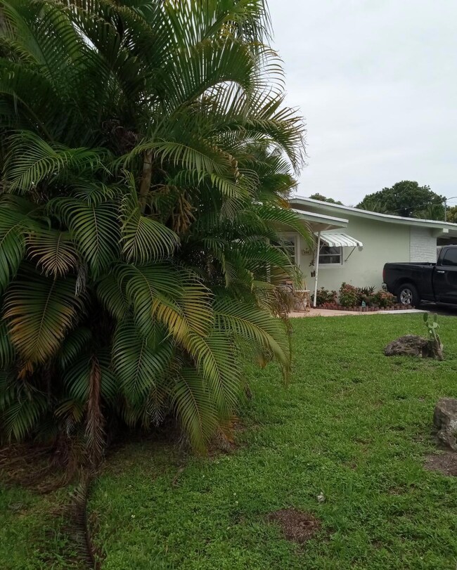 FRONT YARD
