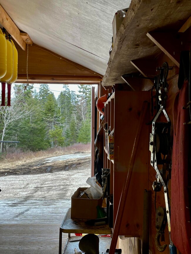 Woods Behind Shop