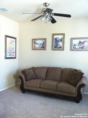 11210 Rose Canyon, Helotes, TX 78023 - photo 2