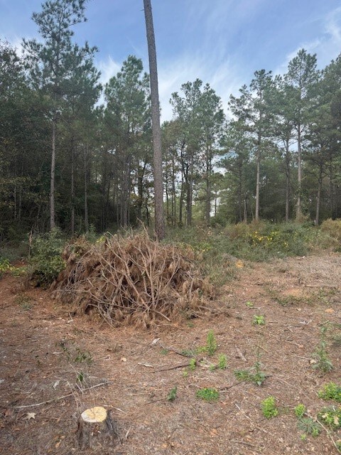 0 Basswood Ln, Plantersville, TX 77363 - photo 2