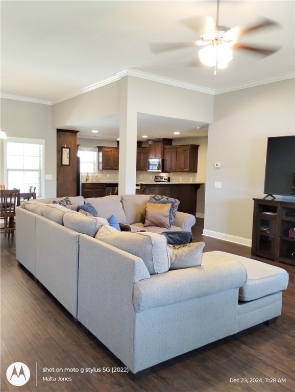 Large Family Room