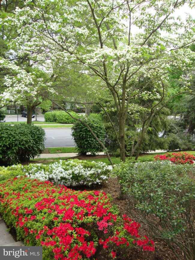 2649 Warren Way, Frederick, MD 21701 - photo 3