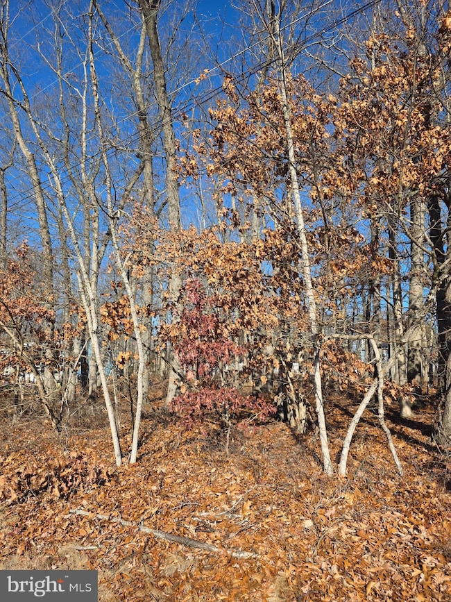 0 Thompson Ave, Chesilhurst, NJ 08089 - photo 2