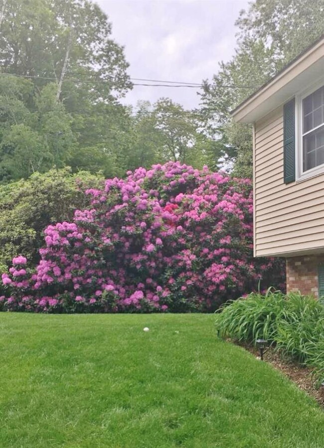 3 Marquis Ave, Claremont, NH 03743 - photo 5