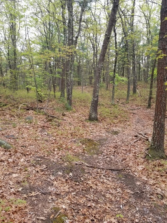 15 Forest St, Derry, NH 03038 - photo 4