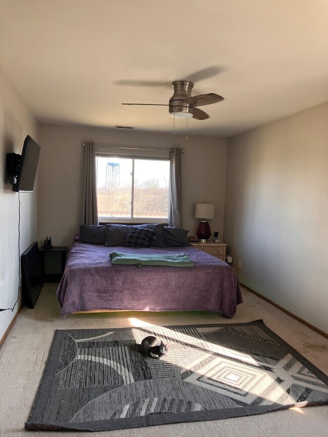 636 Mallard Ct unit 2D, Bartlett, IL 60103 - photo 6