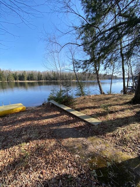 n 9142 Jaecks Rd, Tomahawk, WI 54487 - photo 5