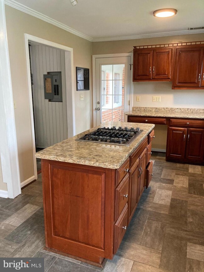 107 Noble Ln, Berryville, VA 22611 - photo 5