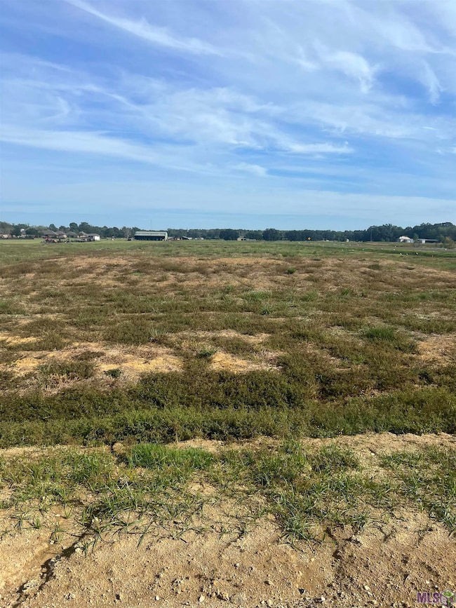 Lot # 26 Buddy Gore Rd, Gonzales, LA 70737 - photo 4