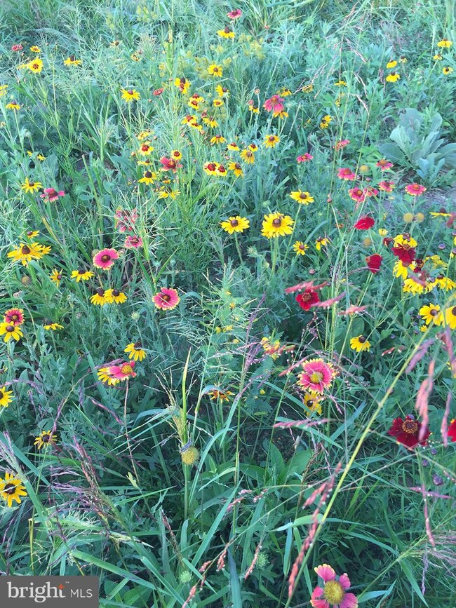 35679 Paxson Rd, Purcellville, VA 20132 - photo 6