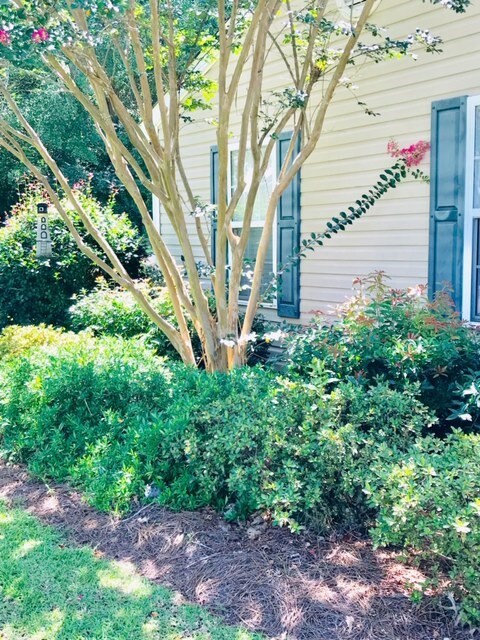 Meticulously Landscaped