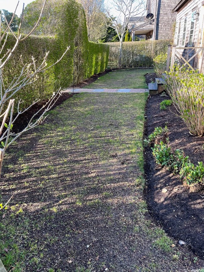 view of front grass area