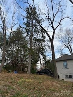 99999 Dalton St, Asheville, NC 28803 - photo 6