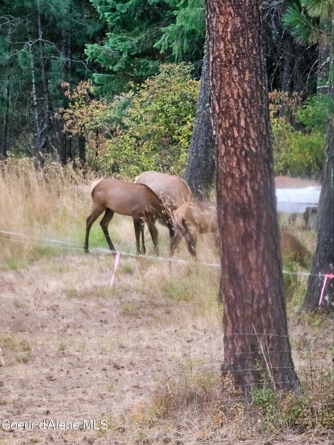 NKA E High Chaparral Rd, Coeur D'Alene, ID 83814 - photo 5