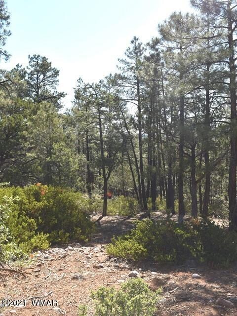 1675 S Pleasant View Dr, Show Low, AZ 85901 - photo 5