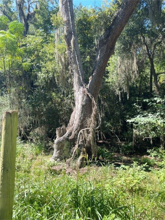 Lot 20 & 21 Riverside Dr, Darien, GA 31305 - photo 5