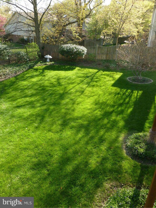 7811 Richfield Rd, Springfield, VA 22153 - photo 2