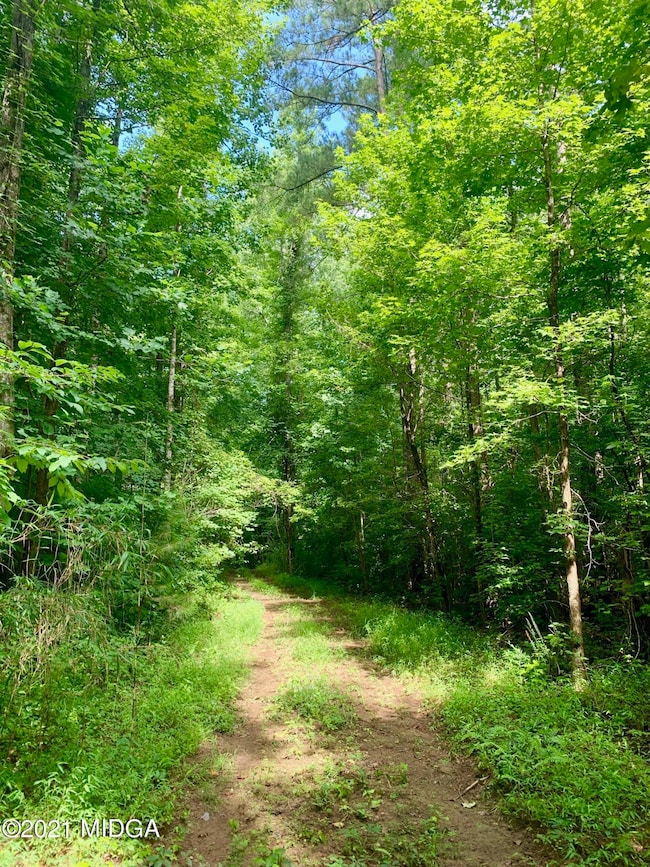 0 Watson Rd unit M161519, Forsyth, GA 31029 - photo 4