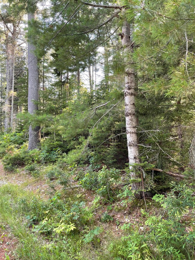 0 Presley Dr unit 1502018, Boothbay, ME 04544 - photo 3