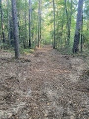 1685 Margaret, Kirbyville, TX 75956 - photo 3